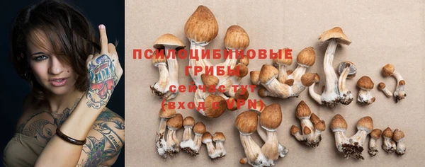 jwh Аркадак